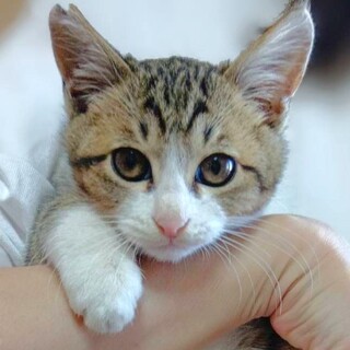 元気で可愛い　たくみくん