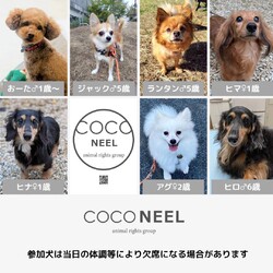 EBISU譲渡会 サムネイル2