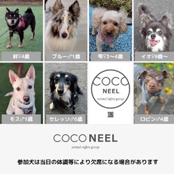 EBISU譲渡会 サムネイル3