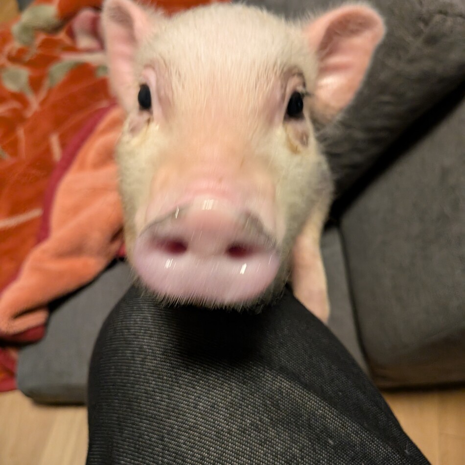 リフト君のカバー写真