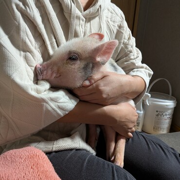 リフト君の写真