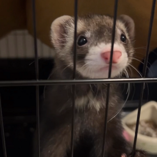 めっちゃいい子で可愛い子