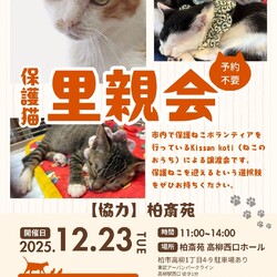 柏斎苑保護ねこ里親会 サムネイル1