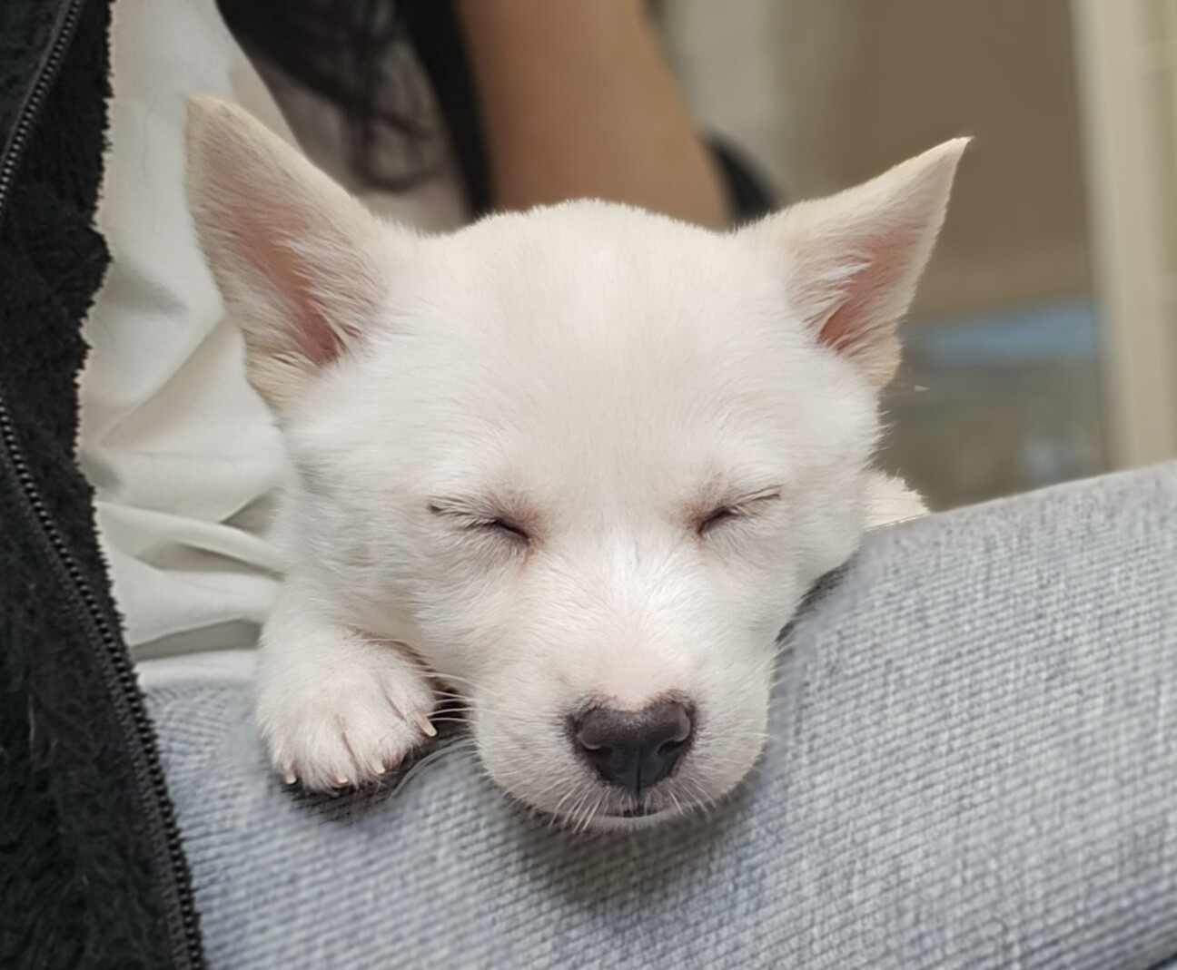 推定2ヶ月の女の子•蓮 サムネイル3