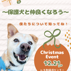 ～保護犬と仲良くなろう～（生駒譲渡センター）