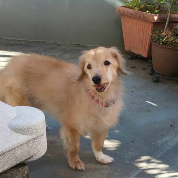 トライアルが決まりました、募集停止します サムネイル2