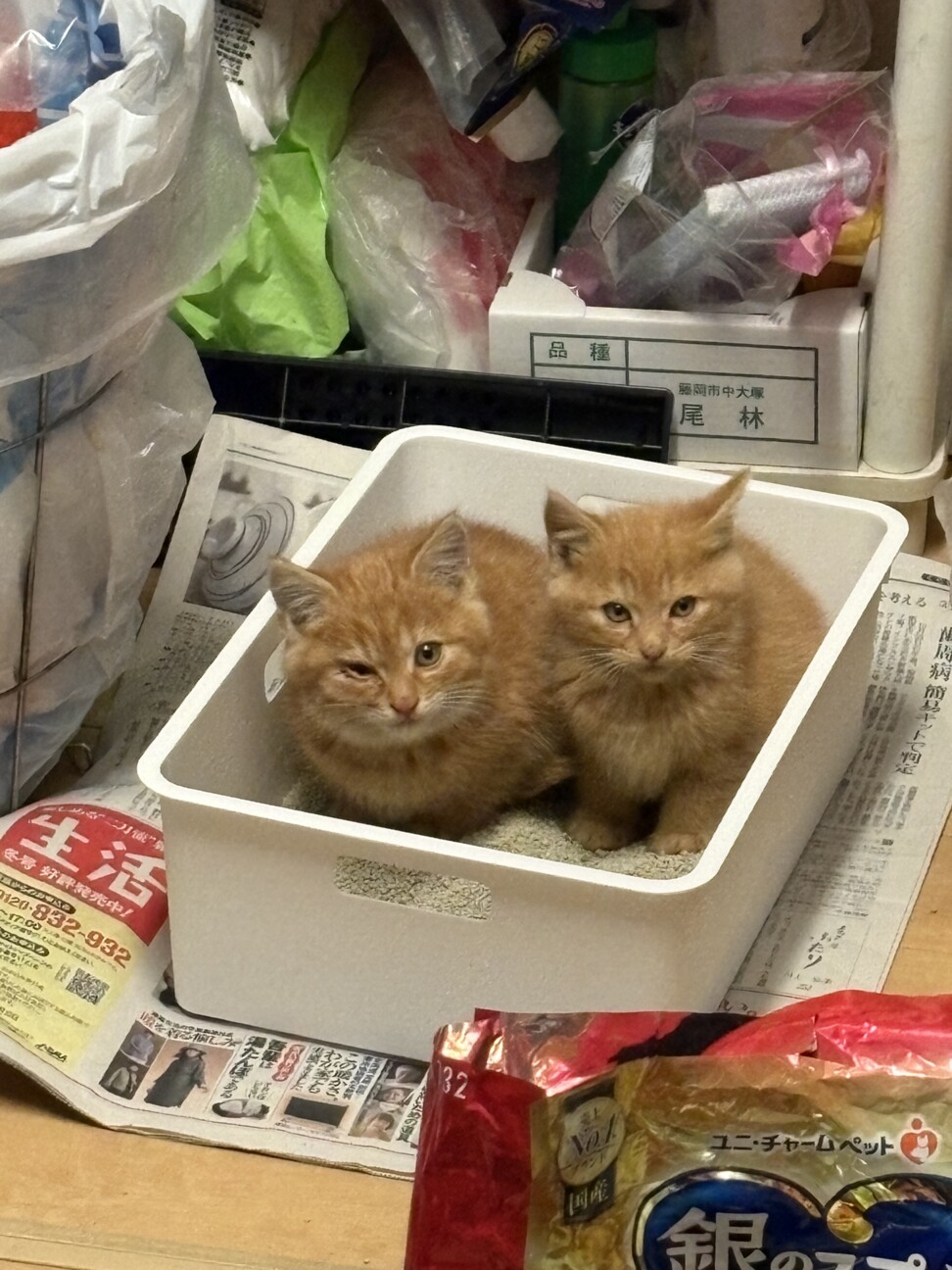 出来れば親子でお願いします サムネイル2