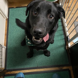 ずっとのお家見つかりました！