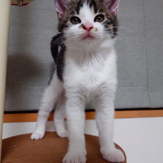 好奇心旺盛指しゃぶり