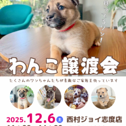 ワンコだらけの譲渡会