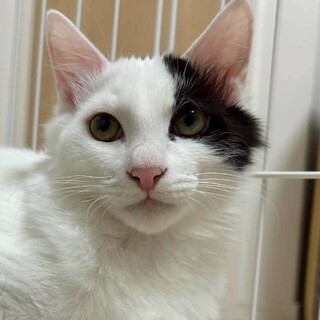 12/21カインズ浦和美園参加 ダイジンくん