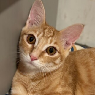 12/21カインズ浦和美園参加