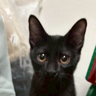 12/7荒川区荒川公園 元輝くん