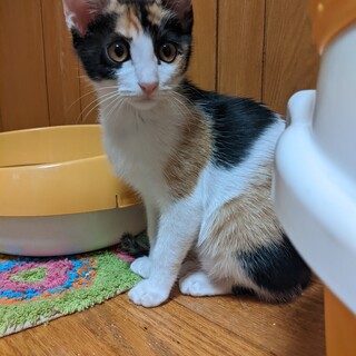 陽キャの美人甘えんぼ♡まつり