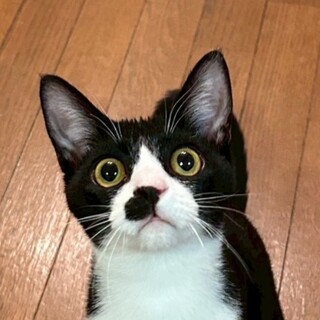 12/7荒川区荒川公園参加