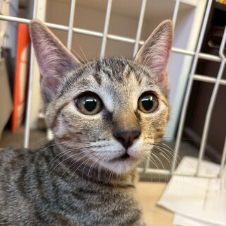 2/1荒川区荒川公園参加