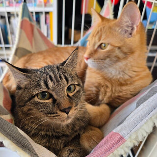 【2/22三田】おっとり物静か♪マイペースな性格