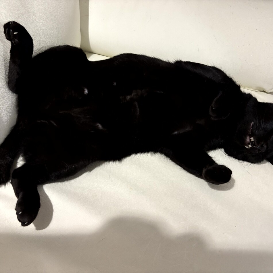 いちのカバー写真