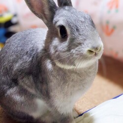 お気に入りの1枚