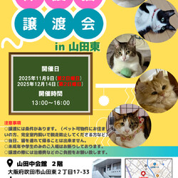 第２４回nekomeeting保護猫譲渡会in山田東