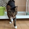 15歳とっても優しい暁月（アカツキ）くん サムネイル2
