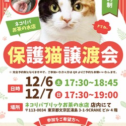【保護猫譲渡会＠ネコリパ東京 お茶の水店】