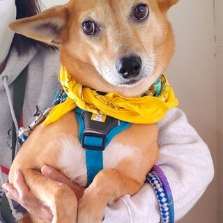 怖がりだけど頑張ってる可愛い女の子 AKIHA