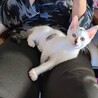 やんちゃな甘えん坊オラフ君 サムネイル2