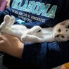 やんちゃな甘えん坊オラフ君 サムネイル4