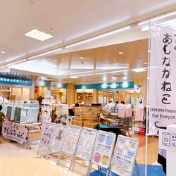 【新年初開催】保護猫の譲渡会 サムネイル2