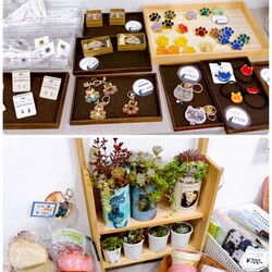 【新年初開催】保護猫の譲渡会 サムネイル3