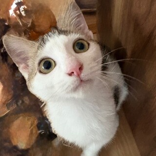 かわいいつきちゃん❣️