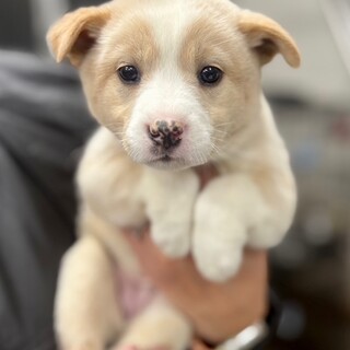 25-W266　マイペースののんびり女子！！