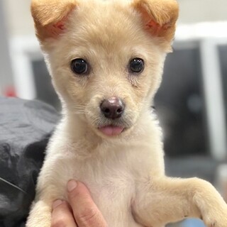 25-W259　元気いっぱい！！