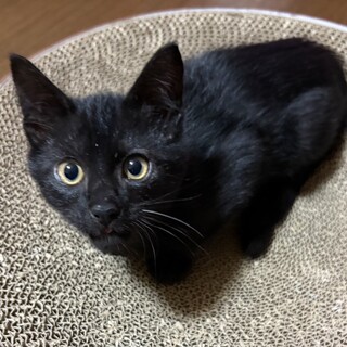 元気いっぱいハンサムボーイ♡聖くん２ヶ月