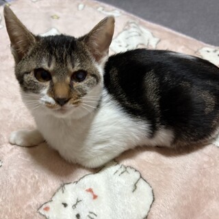 おっとり控えめな♡心花ちゃん２ヶ月半