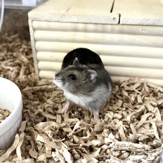 食べるの大好きな甘えん坊！！