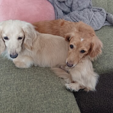 こうせいの写真