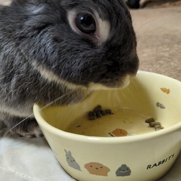 健気に生きてます。