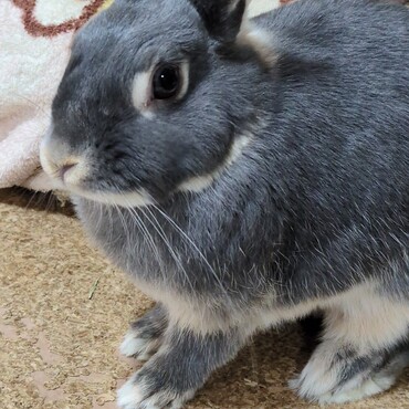 えっ？美人じゃね？