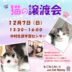 名古屋　猫の譲渡会