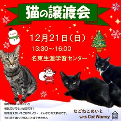 名古屋　猫の譲渡会