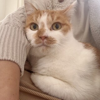 穏やかなポカポカ陽気な♡ポカくん