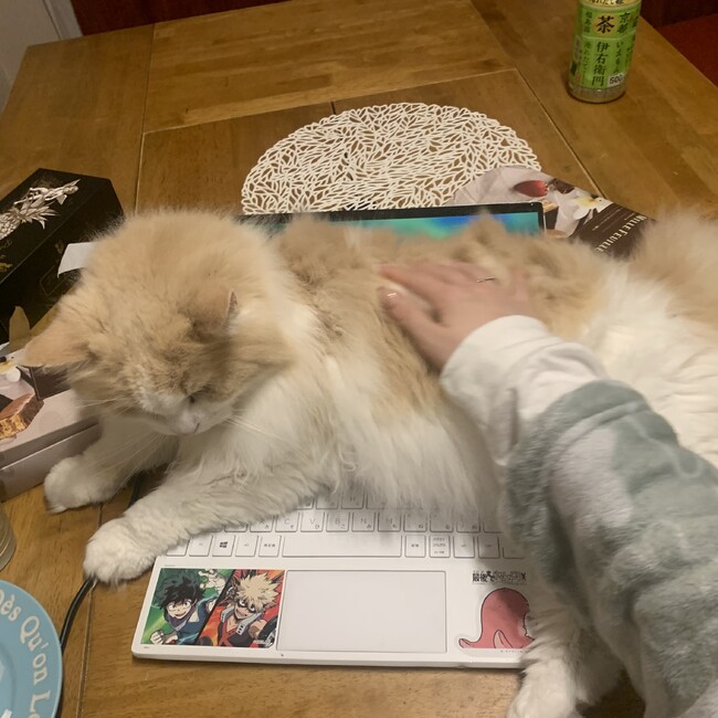 ぬきあしらぶのカバー写真