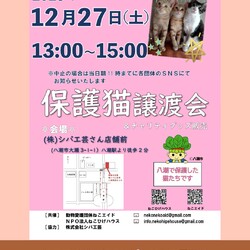 子猫～シニア猫❤埼玉県八潮市　㈱シバ工芸店舗前(TX線八潮駅から徒歩２分)