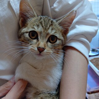 元気で可愛い　わかなちゃん