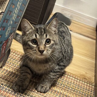 生後4ヶ月抱っこできるビビリボーイ