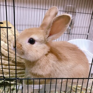 ご検討中の為 一時休止中 