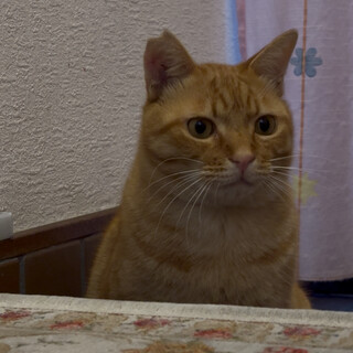 寒空の下、寄り添う兄弟。素敵な家族探してます