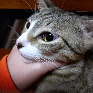 超イケメン！性格三重丸のミッキー！